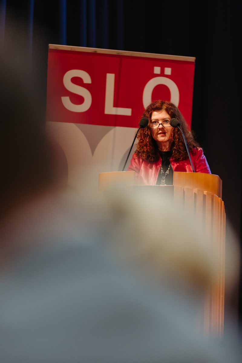 2025-12-03 SLOe Deligiertenversammlung CMecGreenie-53