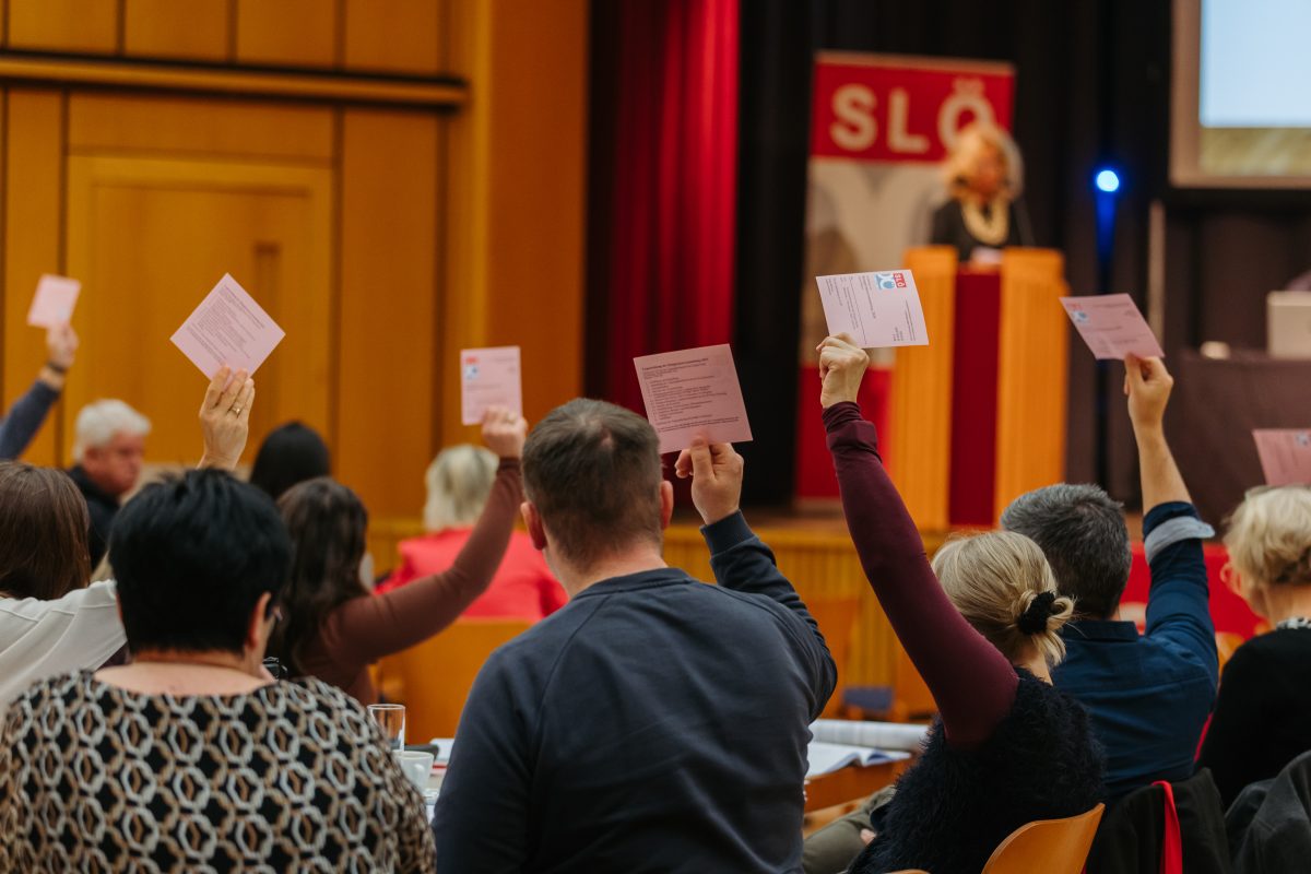 2025-12-03 SLOe Deligiertenversammlung CMecGreenie-90