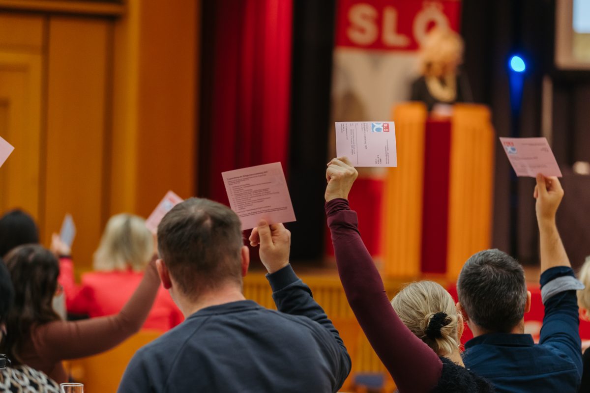 2025-12-03 SLOe Deligiertenversammlung CMecGreenie-91